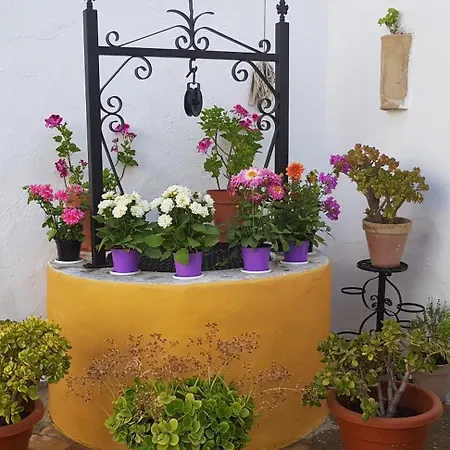 Hacienda El Santiscal (adults Only) Arcos de la Frontera